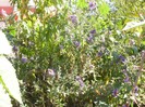 P9300103