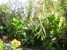 P9300105