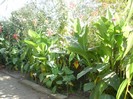 P9300110