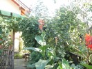 P9300112