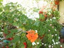 P9300117