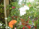 P9300119