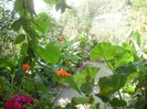 P9300121