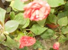 P9300122