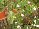 P9300123