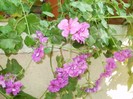 P9300124