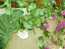 P9300125