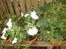 P9300128