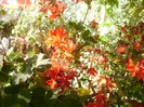 P9300129