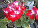 P23-09-11_15.35[2]
