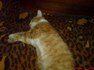 DSC01214