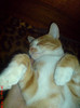 DSC01215