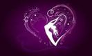 y love you