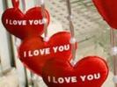 y love you