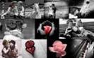 y love you