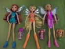 Winx cu pixies
