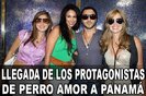 421ff426df0c