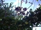 IMGP0701