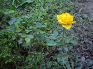 IMGP0708