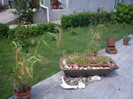 IMGP8915