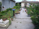 IMGP8916