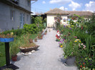 IMGP8917