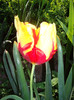 IMGP9677