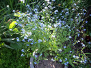 IMGP9686