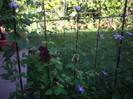 IMGP9782