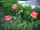IMGP9883