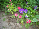 IMGP9886