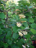 Picture 003