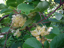 Picture 005