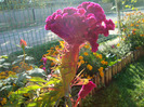DSC02450