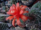DSC05065