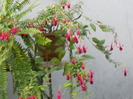 DSCN3195