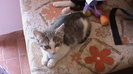DSC03504