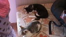 DSC03505