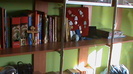 DSC03519