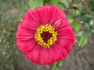 DSCF5374