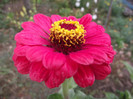 DSCF5375