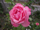 DSCF5378