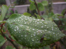 DSCF5379