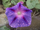 DSCF5391
