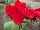 DSCF5395