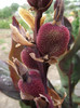 DSCF5397