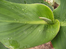 DSCF5399
