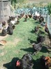 DSC00861