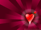 heart_and_a_rose-4784