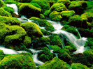 Clearwater Falls, Umpqua National Forest, Oregon